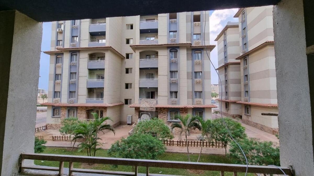 Gardenya Flat Near Tulip 356 *